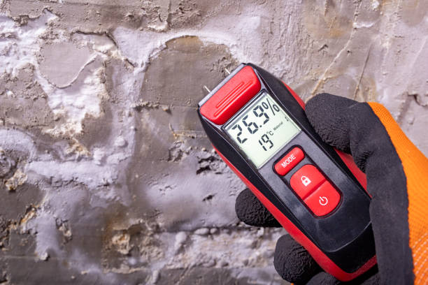Best Residential Mold Remediation in Lamesa, TX