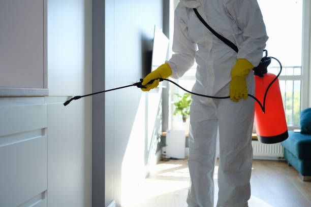 Best Kitchen Mold Remediation in Lamesa, TX