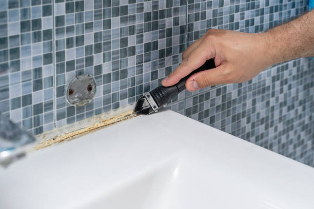 Best Insurance-Related Mold Remediation in Lamesa, TX
