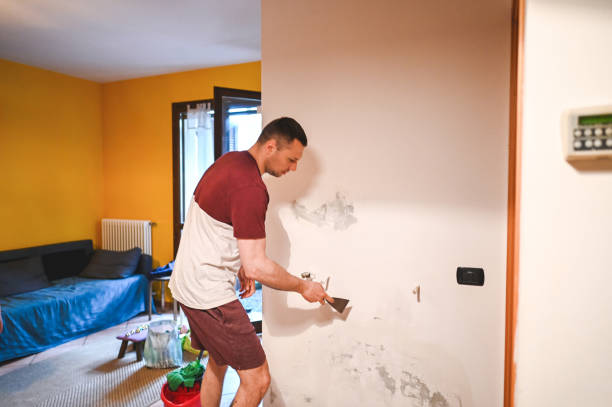 Best Mold Remediation for Schools in Lamesa, TX
